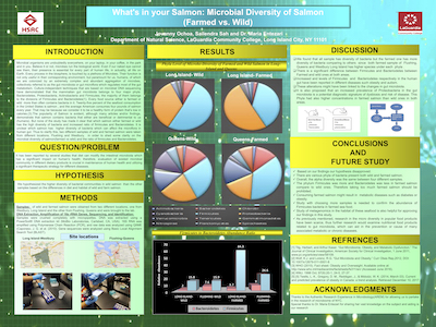 Research poster Jovanny and Sailendra